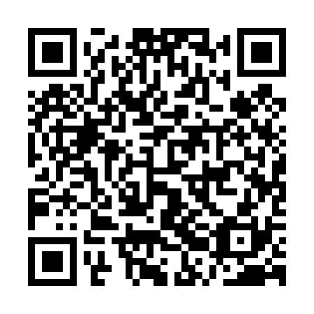 QR code for plate ARA 430