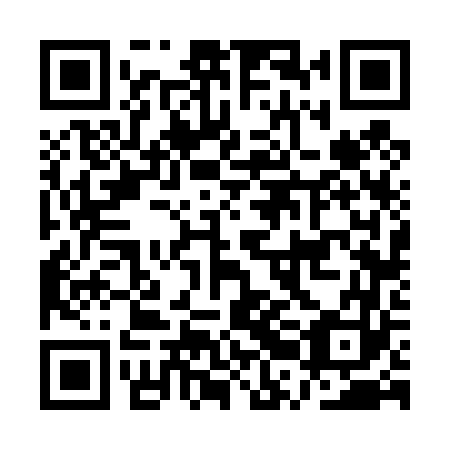 QR code for plate ARF 463