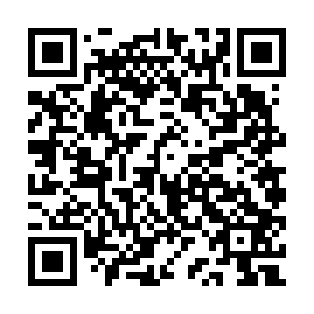 QR code for plate ARF 603