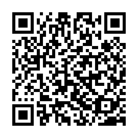 QR code for plate ARG 029