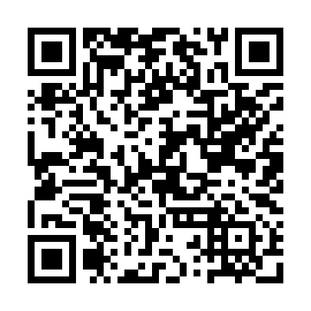 QR code for ARI 991