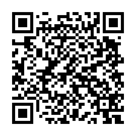 QR code for plate ARR 419