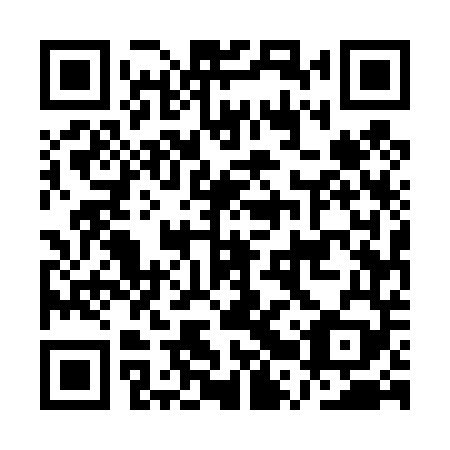 QR code for plate ARU 449