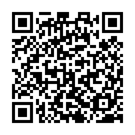 QR code for plate ARU 455