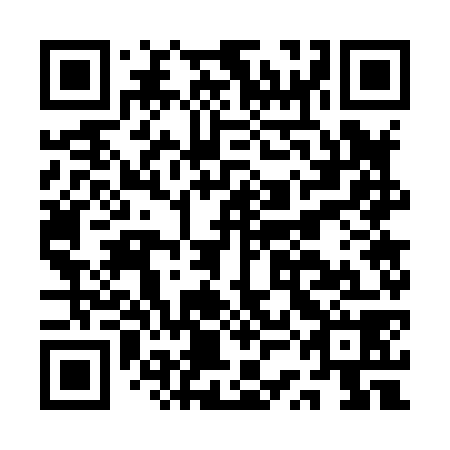 QR code for plate ASG 878