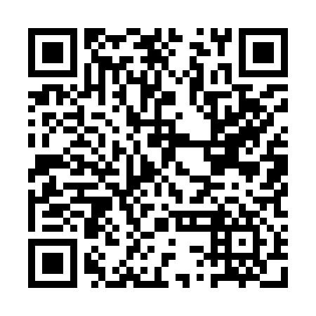 QR code for ASM 917