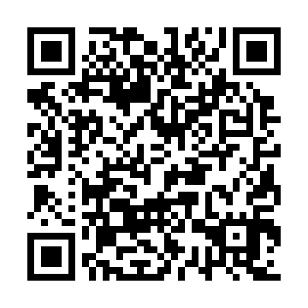 QR code for ASS 315