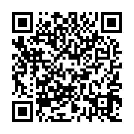 QR code for AST919