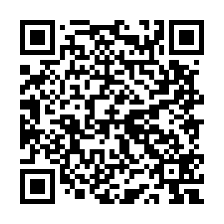 QR code for ASX 519