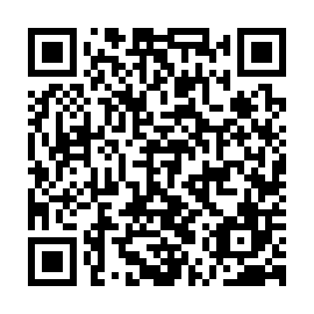 QR code for AUV 306