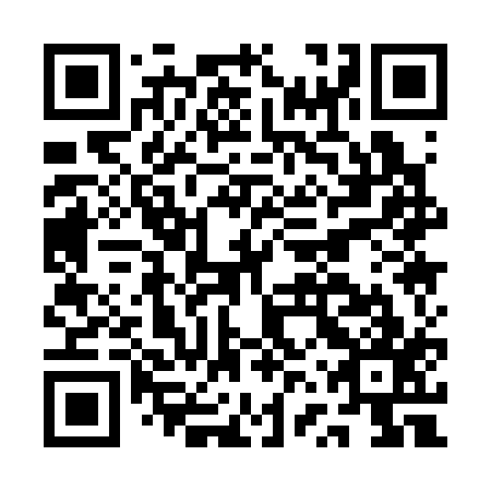 QR code for AVQ317