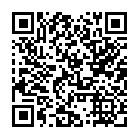 QR code for AWP 333