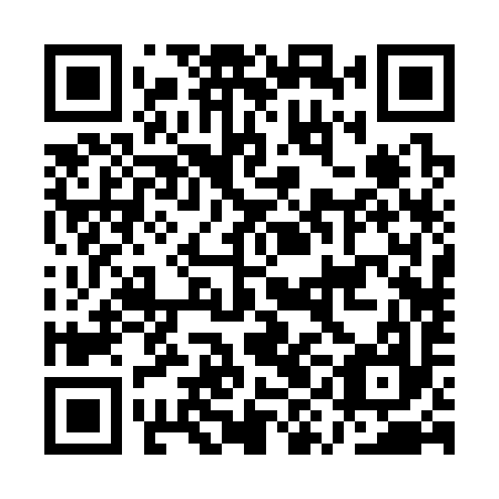 QR code for AYB 397