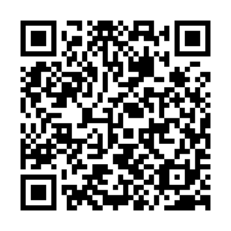 QR code for AYE 991
