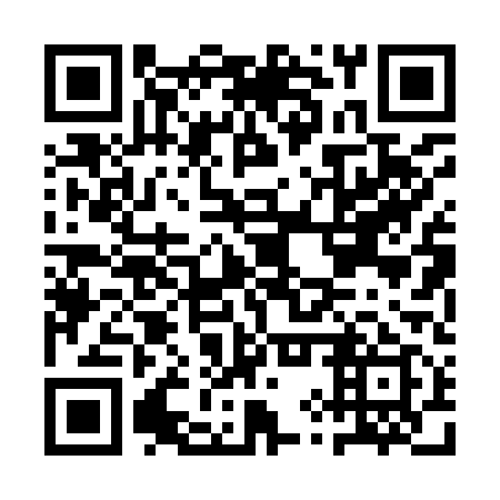 QR code for AYP 919