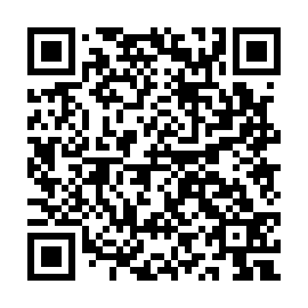 QR code for plate AYP 133