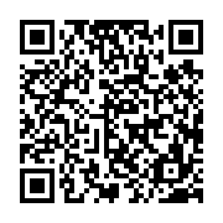 QR code for AYP636