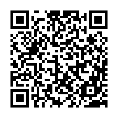 QR code for plate AYR 166