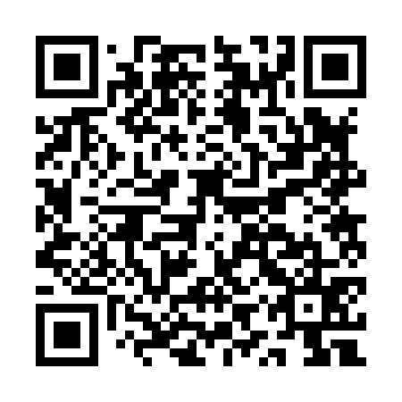 QR code for plate AYR 875