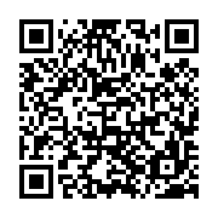 QR code for plate AZN 496