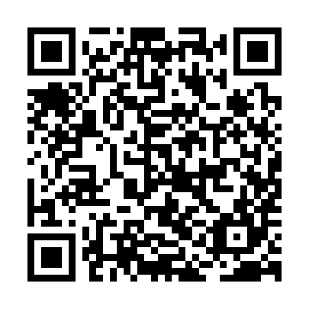 QR code for BAA 384