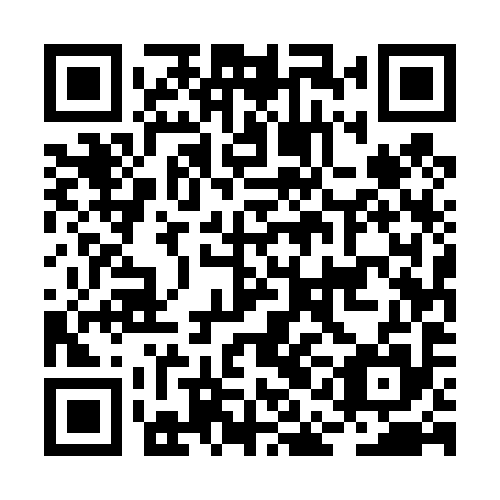 QR code for BAE 495