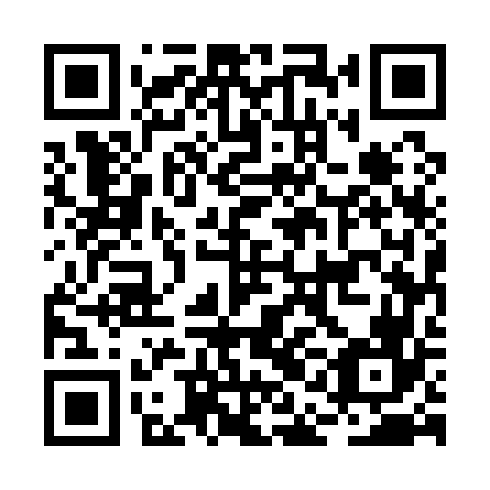 QR code for plate BAE 166