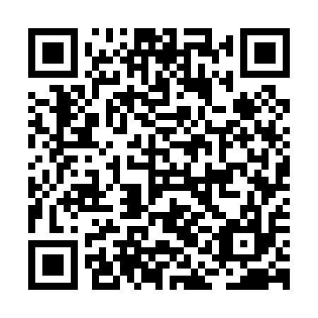 QR code for plate BAG 017
