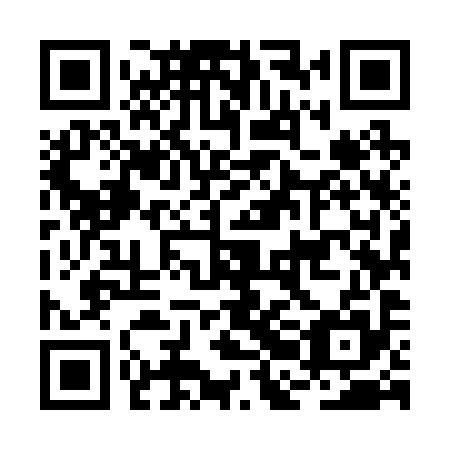 QR code for BBM 295
