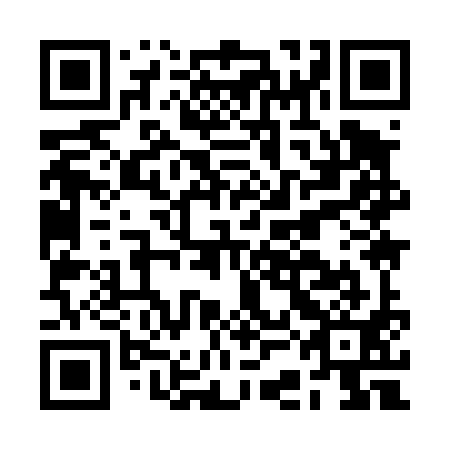 QR code for BCI491
