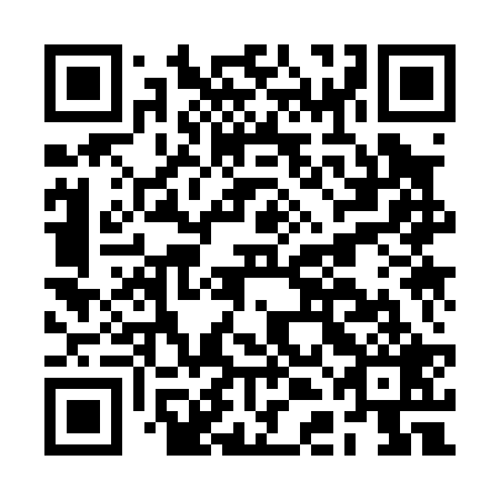 QR code for plate BDK 029