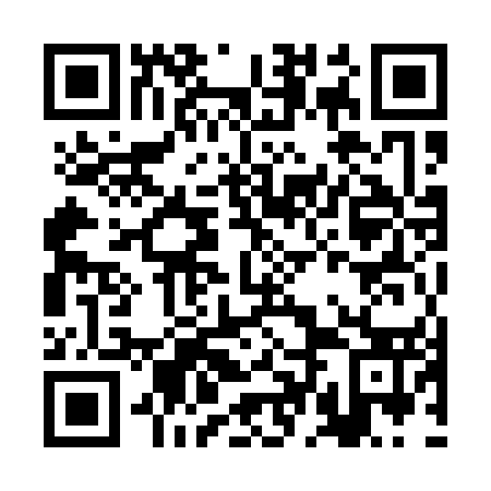 QR code for plate BDM 153