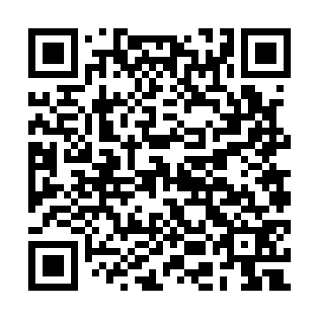 QR code for plate BEF 172