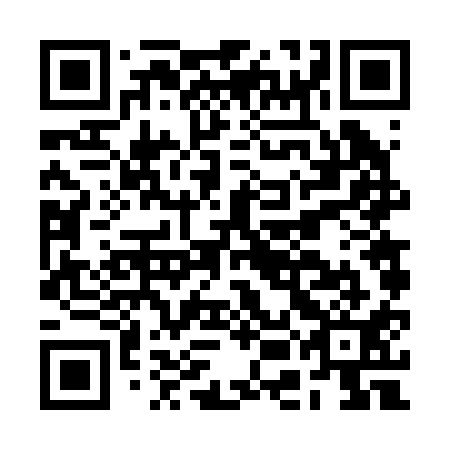 QR code for plate BEF 211