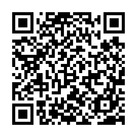QR code for plate BEL 667