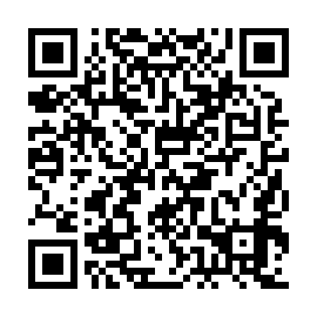 QR code for plate BER 859