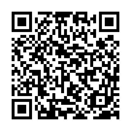 QR code for plate BEX 553
