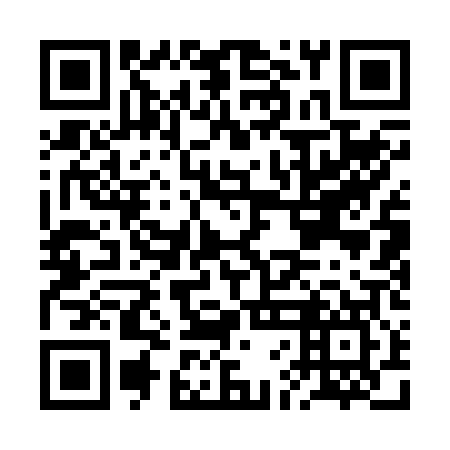 QR code for BFA 207