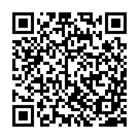 QR code for plate BFA 343