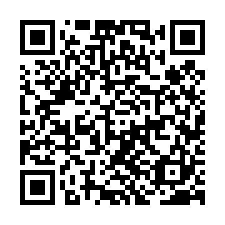QR code for plate BFF 423