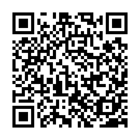 QR code for plate BFF 701