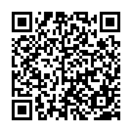 QR code for BFG 306
