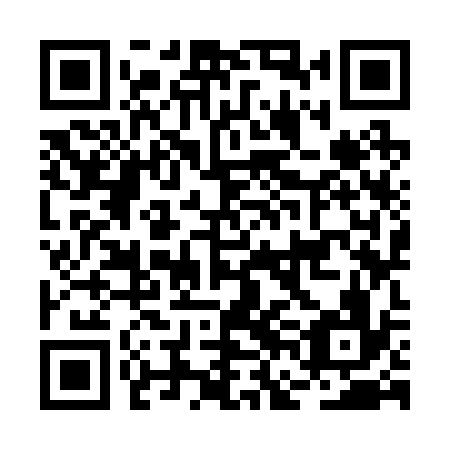 QR code for plate BFK 236