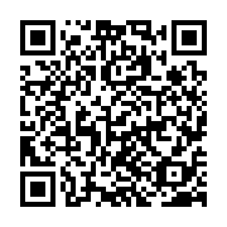 QR code for plate BFN 318