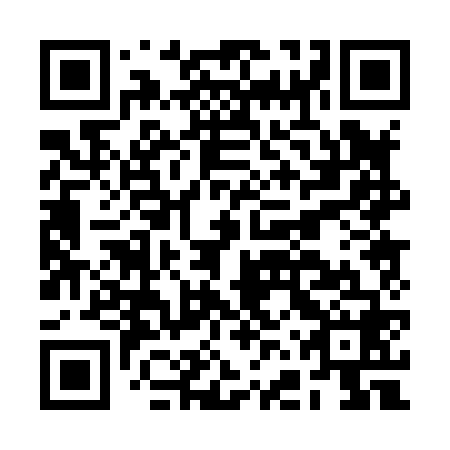 QR code for BFP 868
