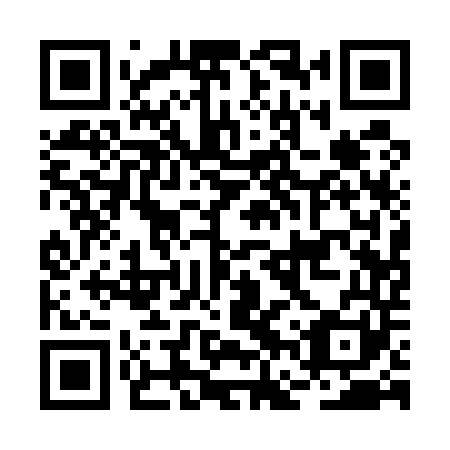 QR code for BFQ 541