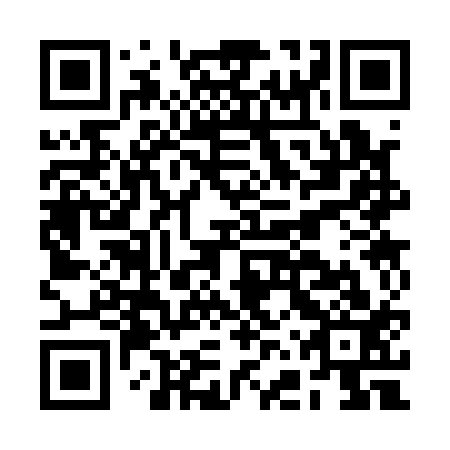 QR code for plate BFS 113