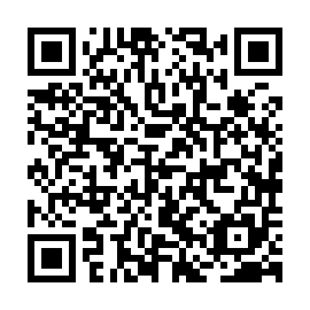 QR code for BFX 955
