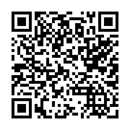 QR code for BGD 295