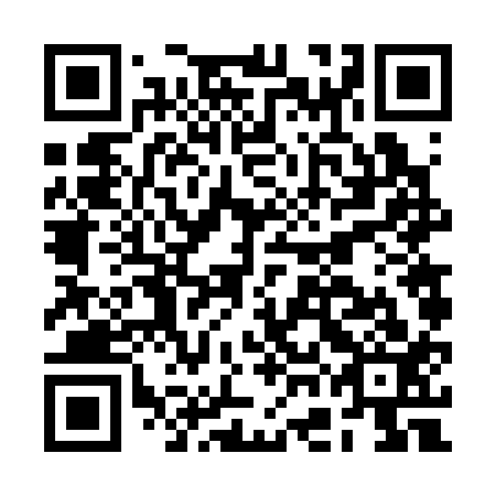 QR code for BGF 313